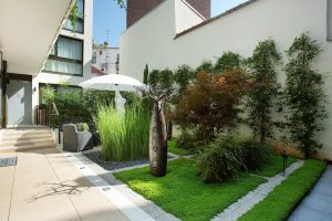 Les Jardins de Mademoiselle Paris