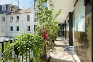 Les Jardins de Mademoiselle Paris