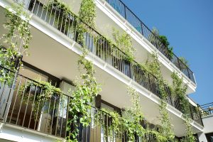 Les Jardins de Mademoiselle Paris